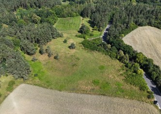 działka na sprzedaż - Gruta, Dąbrówka Królewska