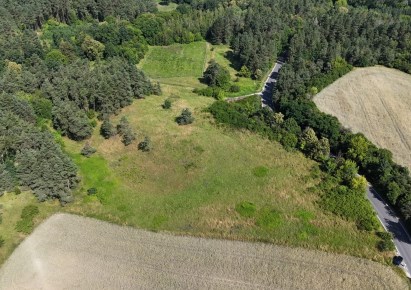działka na sprzedaż - Gruta, Dąbrówka Królewska