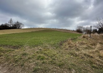 działka na sprzedaż - Warlubie, Buśnia