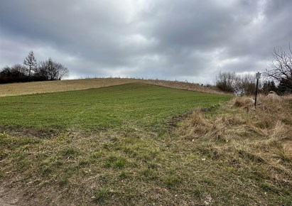 działka na sprzedaż - Warlubie, Buśnia