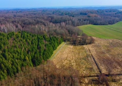 działka na sprzedaż - Małdyty, Dziśnity