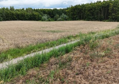 działka na sprzedaż - Rogóźno, Kłódka