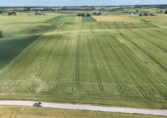działka na sprzedaż - Gruta, Annowo