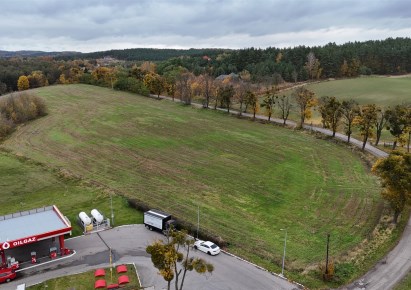 działka na sprzedaż - Rogóźno, Kłódka