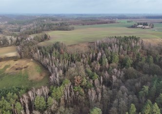 działka na sprzedaż - Gruta, Dąbrówka Królewska