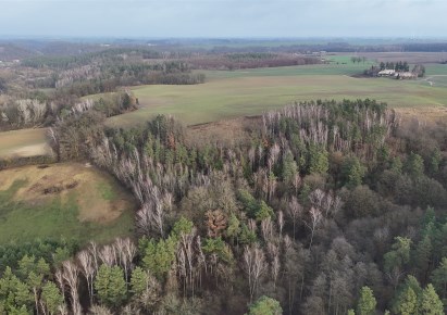 działka na sprzedaż - Gruta, Dąbrówka Królewska