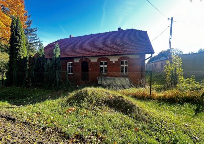 lokal na sprzedaż - Łasin, Plesewo