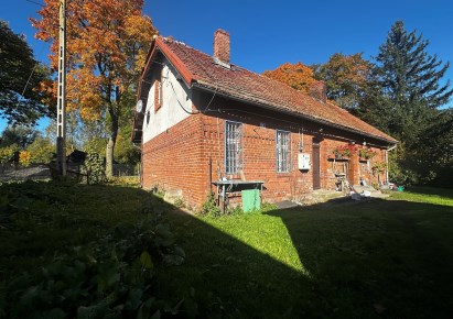 lokal na sprzedaż - Łasin, Plesewo