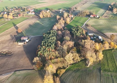 działka na sprzedaż - Świekatowo, Jania Góra