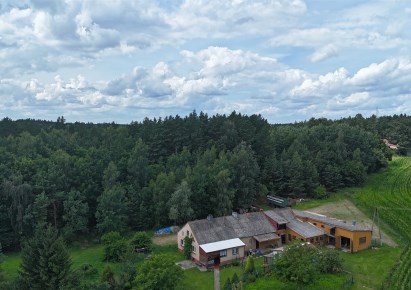 dom na sprzedaż - Nowe, Morgi