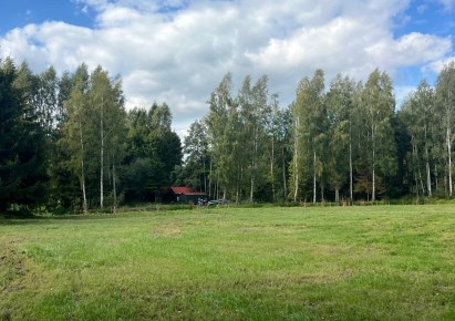 działka na sprzedaż - Zalewo (gw), Mozgowo